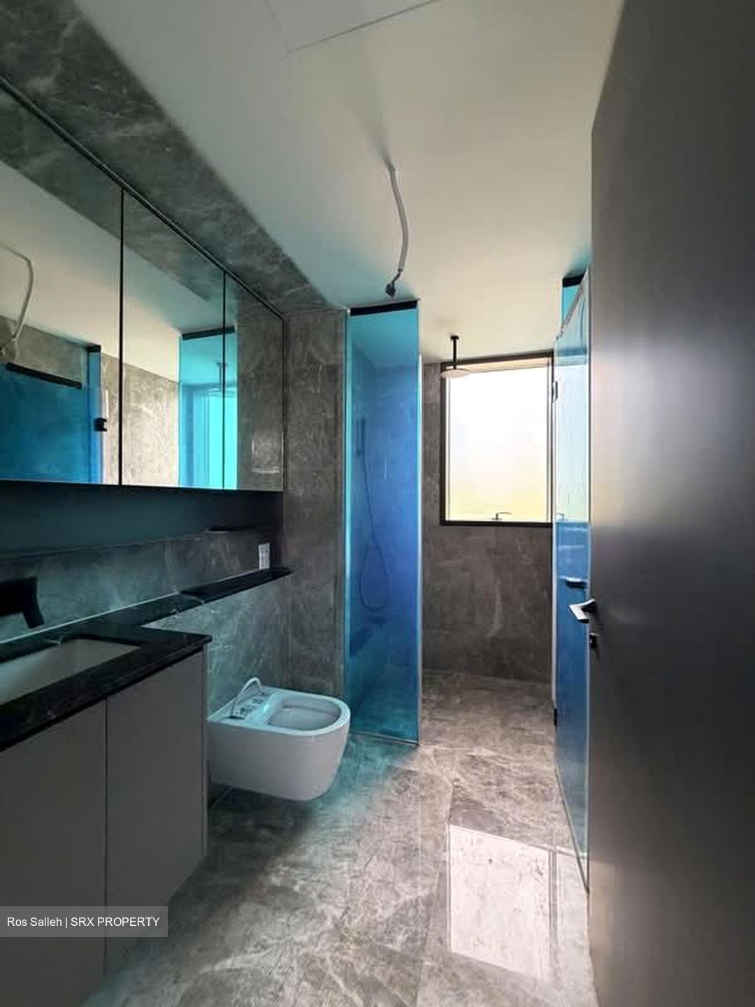 The Landmark (D3), Condominium #592001641